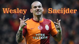 Wesley Sneijder ● Efsaneler Unutulmaz ►Pembe Mezarlık [upl. by Ennayrb]