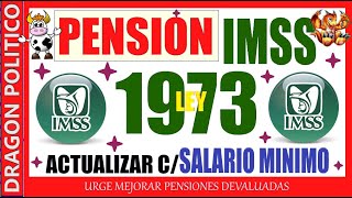 1133🔥PENSIÒN IMSS LEY 1973 🤔❤️👴❤️✅pension noticias ayudasocial pagos [upl. by Adnuhsed]