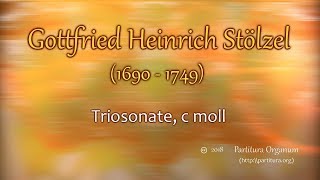 Gottfried Heinrich Stölzel Triosonate c moll [upl. by Aynatahs]