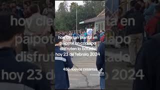 Cierran la planta de Paipote gracias al gobierno del Merluzo 420 cesantes más [upl. by Dalia26]