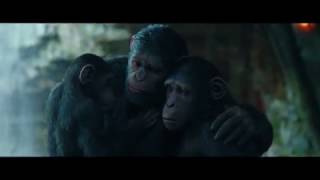 La Planète des Singes Le Nouveau Royaume Film Complet Français en VF amp VO Film Comédie [upl. by Weaver128]