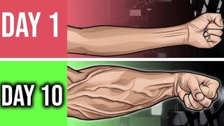 9 Best Perfect Exercises Forearm Workout 🏠 At Home 🏠 [upl. by Ki967]