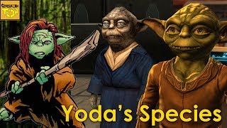 What do we know about YODAS SPECIES [upl. by Miarfe460]