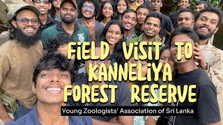 Field Visit to Kanneliya Forest Reserve  YZA  20072024 🐸🦅 [upl. by Atinev154]