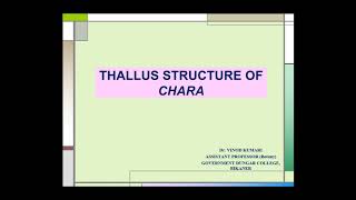 Thallus Structure of Chara BSc PartI [upl. by Horan]