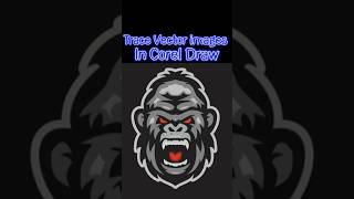 TRACE VECTOR IMAGES IN Corel Draw ll Gorilla Vector trace  vectortutorials coreldraw [upl. by Ydnyc]