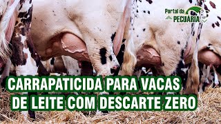 Carrapaticida para vacas de leite com descarte zero [upl. by Ho914]