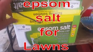 Epsom Salt For My Crappy Lawn Summer Lawn Care Tip Improve soil quality and get greener grass [upl. by Valenka800]