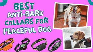 Best Anti Bark Collars For Dogs  Gentle Training Happy Dogs [upl. by Hgielrak]