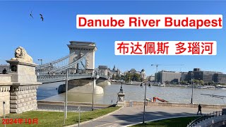 匈牙利首都布达佩斯之行（1）：多瑙河， 链桥，自由桥和茜茜公主桥 Budapest Chain Bridge，Liberty Bridge｜ Danube River [upl. by Sufur]