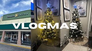 VLOGMAS 4 Medical appointment with Capri Teleworking Our Christmas Tree Decor Reveal [upl. by Wye]