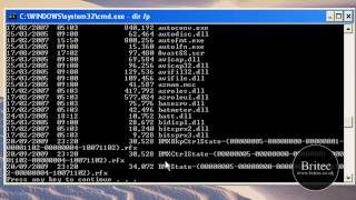 How to Remove the ntde1ectcom and autoruninf Virus and Trojan files by Britec [upl. by Adahs675]