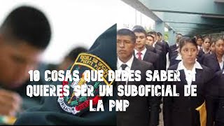 10 COSAS QUE DEBER SABER SI QUIERES SER UN SUB OFICIAL DE LA PNP l Sin pelos en la lengua [upl. by Nilesoy385]