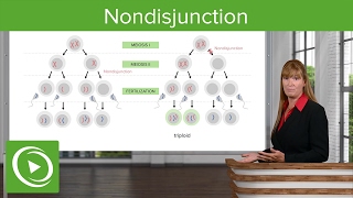 Nondisjunction Chromosomal Disorders amp Aneuploidies – Medical Genetics  Lecturio [upl. by Ladiv545]