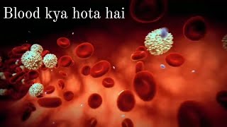 blood kya hai in hindi l all about white blood cells hindi l blood vessels blood circulatory system [upl. by Judie]