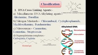 Classification of Anticancer or Antineoplastic agents Medicinal Chemistry Structural basis [upl. by Aidnic]