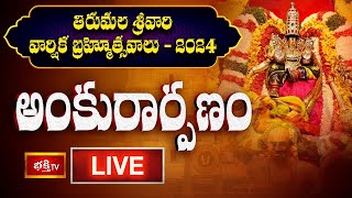 LIVE  తిరుమల శ్రీవారి వార్షిక బ్రహ్మోత్సవాలకు శాస్త్రోక్తంగా quotఅంకురార్పణquot  TTD Brahmotsavam 2024 [upl. by Hatokad56]