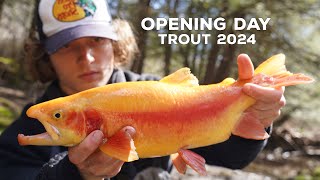 PA Opening Day Trout Fishing 2024 GOLDEN RAINBOW [upl. by Gnol]