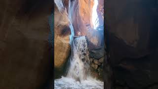 What Makes Kanarra Falls Trail So Unique Shorts Hiking [upl. by Enytnoel]