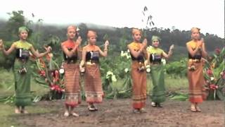 Cacao video 6 French Guiana Hmong dancer [upl. by Aicelaf221]