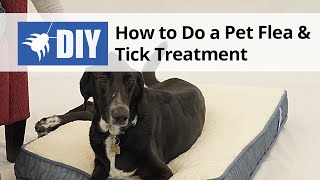 Pet Flea amp Tick Treatment and Control [upl. by Prosper]