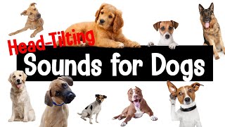 Sounds for Dogs  HeadTilting Sounds Your Dog Will Love [upl. by Finley384]