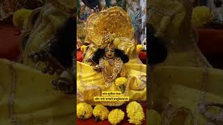 Om namo bhagwate Aaj Dev uthani ekadashiRadhe RadheYouTubeshorts [upl. by Sivet499]