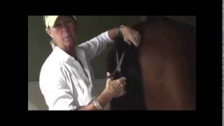 How to trim your horses tail by Dressage Hub [upl. by Gonick]