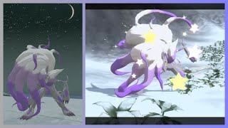 LIVE Shiny Hisuian Zoroark in Pokémon Legends Arceus [upl. by Lettig812]