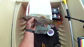 Philpott ReservoirHorseshoe Point 👉 Southern Virginia Fishing [upl. by Elamef]