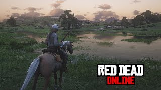 The ONLY Red Dead Online Beginners Guide You’ll Need In 2023 [upl. by Aynad]