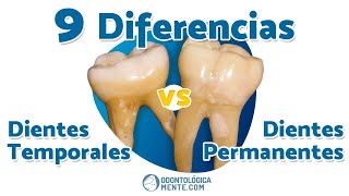 ► 9 Diferencias entre dientes 🦷 temporales y permanentes [upl. by Eirallih54]