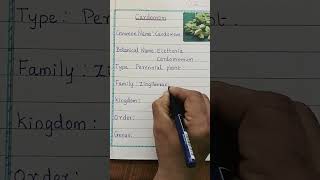 Cardamom Plant Botanical Facts and Specifications  Cardamom Interesting Scientific Details [upl. by Gervais]