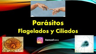 PROTOZOOS 🦠 FLAGELADOS y CILIADOS ✅ PARASITOLOGIA [upl. by Lorre]