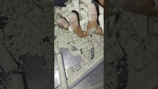 Chalk Crumbling video Asmr  chalk crushing Asmr viralvideo shortsfeeds chalkeating chalkasmr [upl. by Stoecker815]