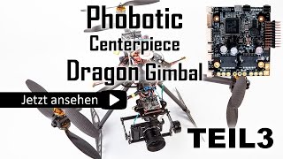 Phobotic und Dragon Rosewhite Gimbal Installation Teil 33 [upl. by Ellenhoj]