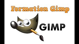 Créer Un Gif Animé Avec Gimp  Version Windows [upl. by Molohs]