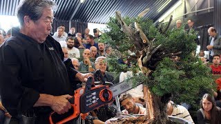 Kunio Kobayashi Bonsai demonstration [upl. by Fesoy38]