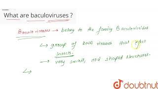 What are Baculoviruses  CLASS 12  MICROBES IN HUMAN WELFARE  BIOLOGY  Doubtnut [upl. by Clifford462]