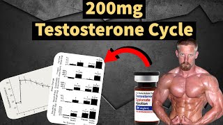 200mg Testosterone Cycle  Best Steroid Cycle  Muscle Gains  Side Effects  Doctors Analysis [upl. by Edora]