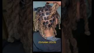 TWO YEAR LOC JOURNEY locs locstyles locsjourney dreads dreadsjourney dreadsjourney blackhair [upl. by Yentihw]