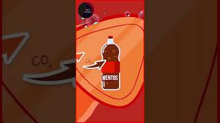 Drinking Coke with Mentos Stomach Reaction [upl. by Madonia66]