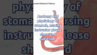 Anatomy and physiology of stomach [upl. by Ailliw]