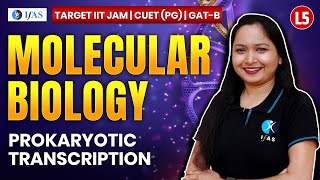 Prokaryotic Transcription for IIT JAM Biotechnology  GAT B  CUET PG 2025  Molecular Biology  L5 [upl. by Flann]