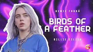 Billie Eilish  Birds Of A Feather FORRÓ Prod Giliard Sousa [upl. by Yoho405]