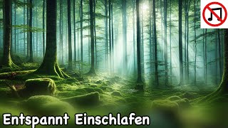 10 Minuten Einschlafmeditation  Meditation zum Einschlafen amp Entspannung  Geführte Meditation [upl. by Bamby]