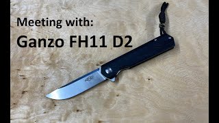 GANZO FH11 D2 steel ball bearing flipper folding knife G10 with steel core linerlock [upl. by Beulah]