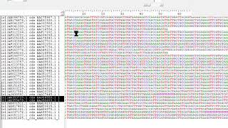 Sequence Extraction using bioedit Part 1 [upl. by Twum]