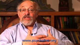 Dr Allan Schore on the role of shame in suicide [upl. by Boulanger]