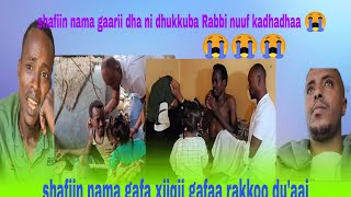 🛑Yaa oromo too mee yeroo takka harka keesaan rabbit olqaba shafii maalif badee jatteni na gafatan😭 [upl. by Ycak512]